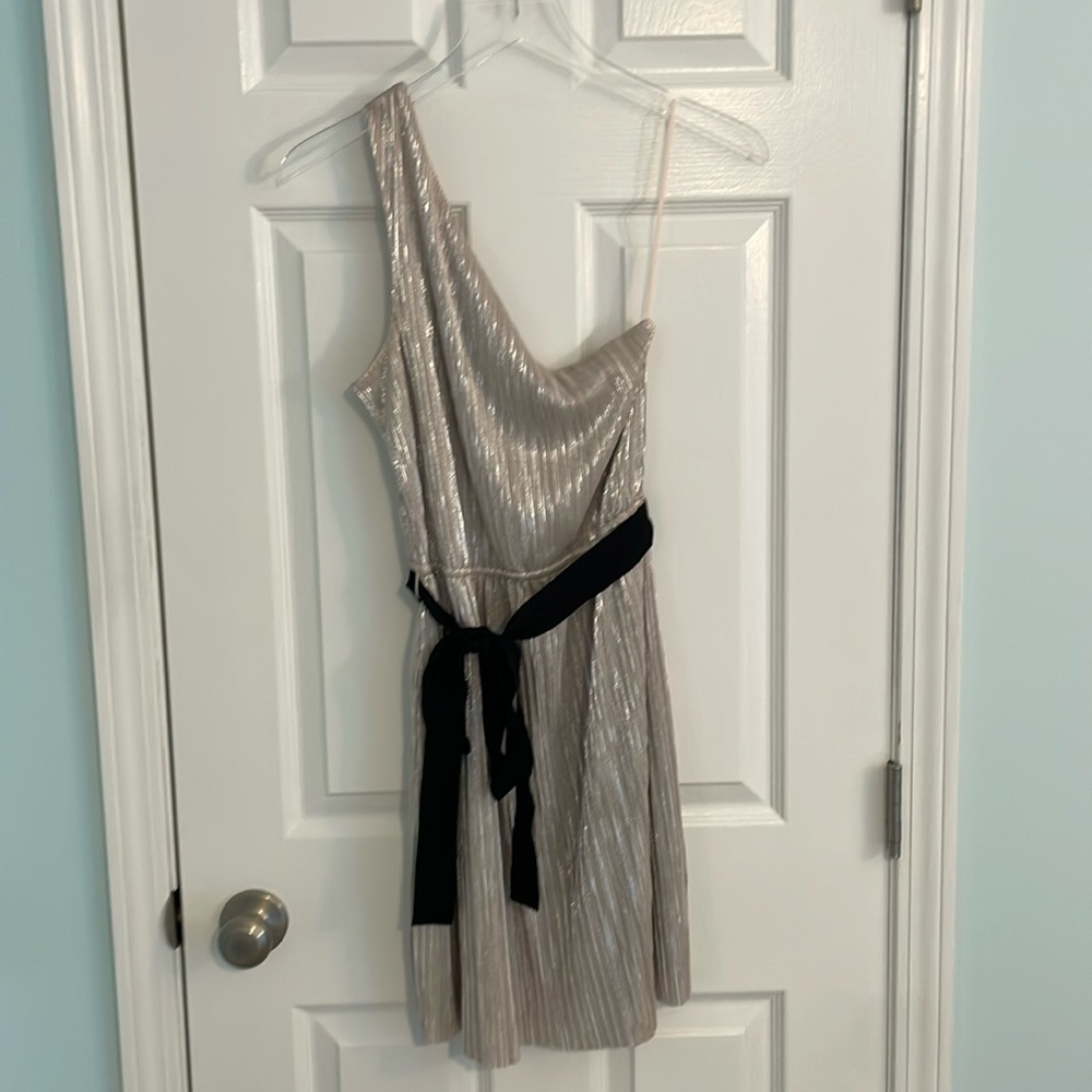 Express One Shoulder Metallic Dress